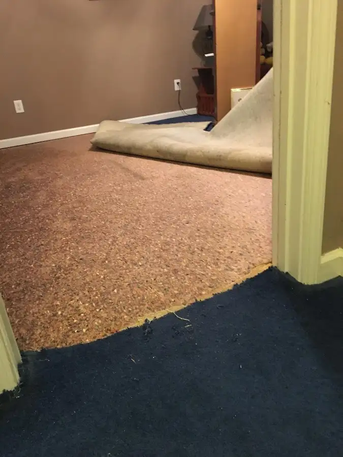 Carpet pad removal revealing water damage during Water Mitigation Services in Enterprise