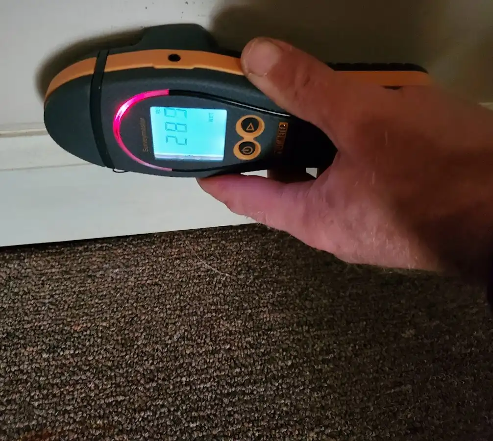 Moisture detection at baseboard during Mold Inspection & Testing in Enterprise